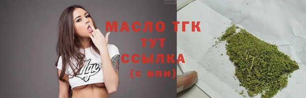 молекула духа Верхний Тагил